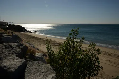 DSC_1446 (Large).JPG